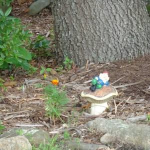 Meet your Posher, Cherie